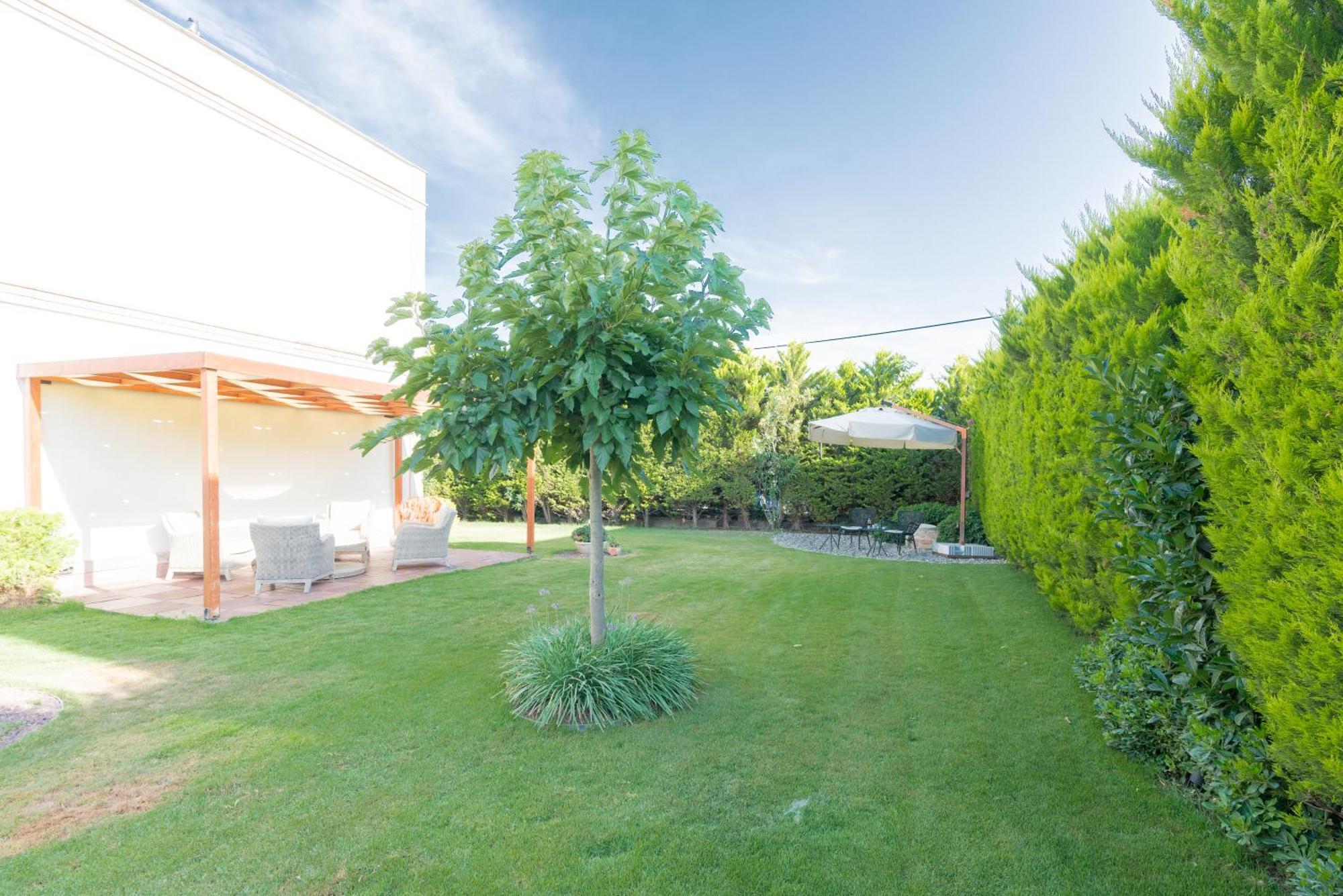 Elia Hotel Cunda By Ortunc Ayvalı Εξωτερικό φωτογραφία